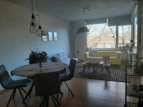 appartement in Dordrecht